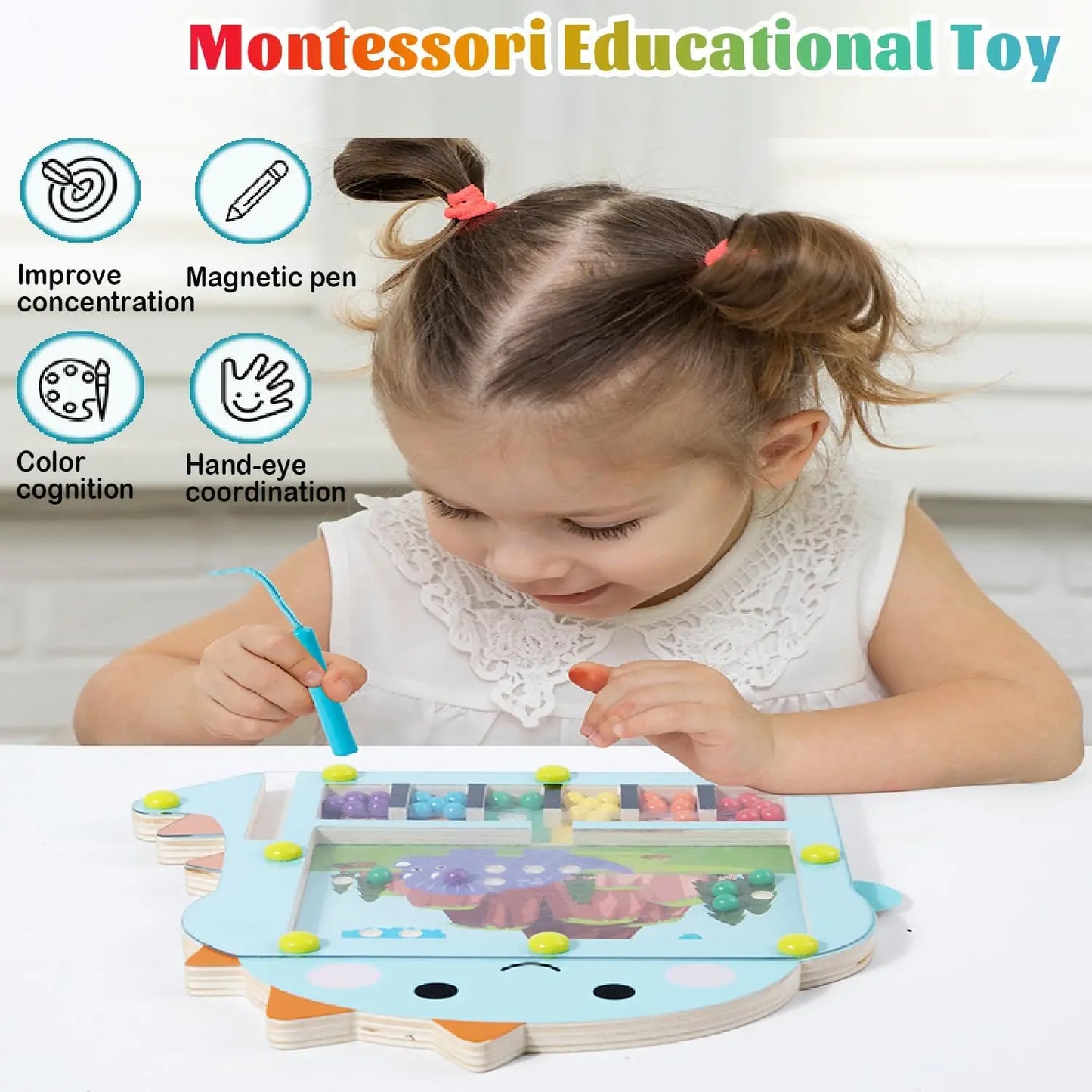 Montessori Magnetic Maze